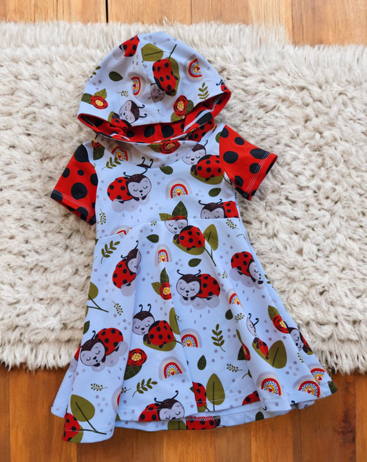 Ladybug Dress (3-12m)